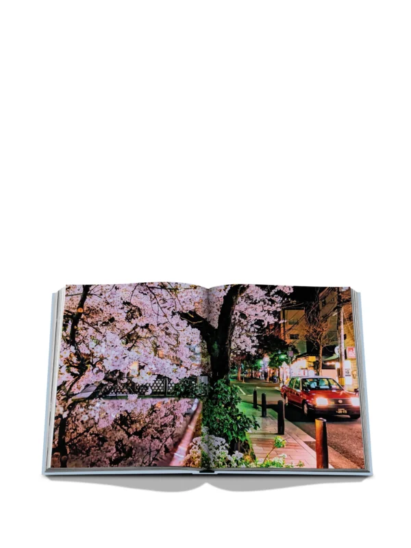 Kyoto Serenity - Image 2